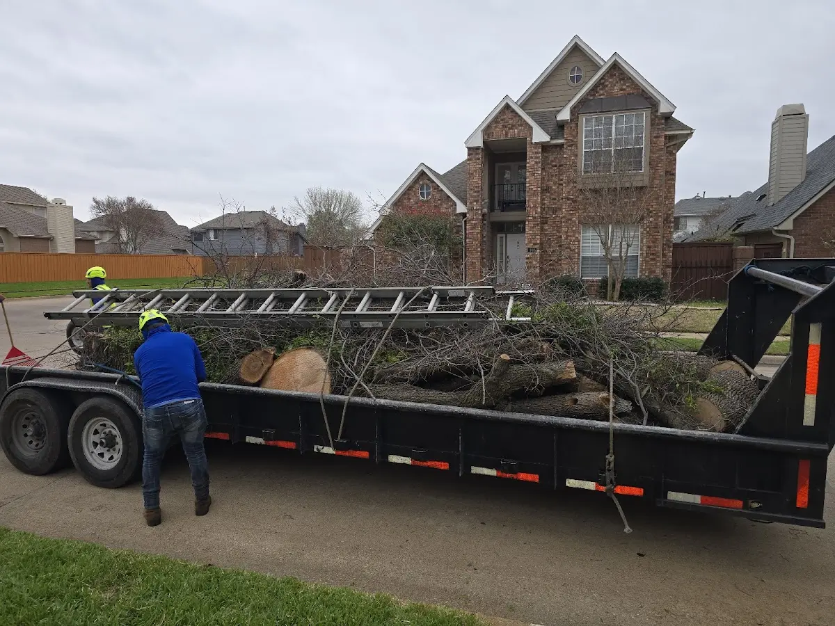 Expert Tree Fertilization with proper safety equipment in Turin